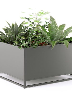 Garden bed square Consuela La Redoute
