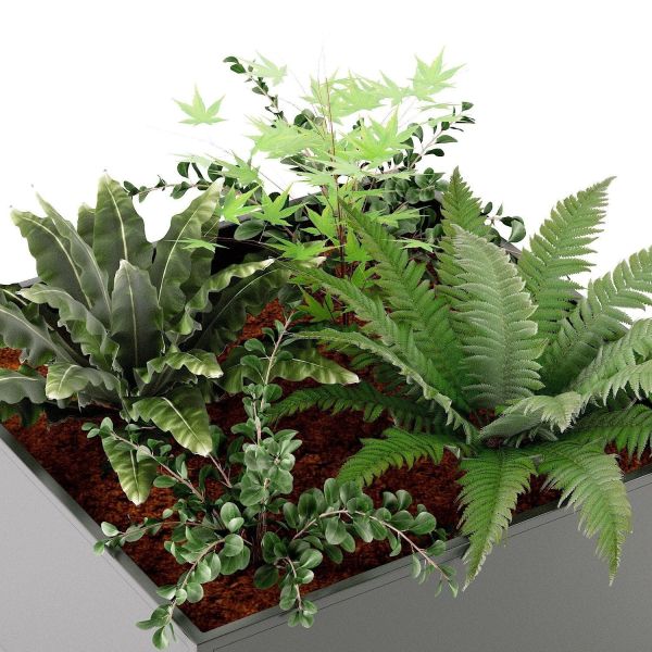 Garden bed square Consuela La Redoute