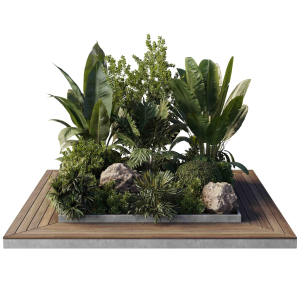 Garden Box Plants - Outdoor Plants 204