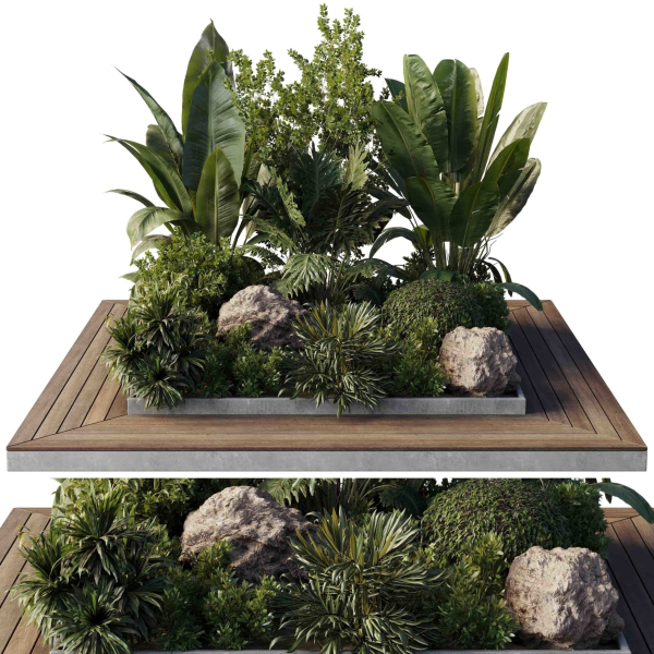 Garden Box Plants - Outdoor Plants 204