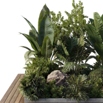 Garden Box Plants - Outdoor Plants 204