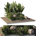 Garden Box Plants - Outdoor Plants 204