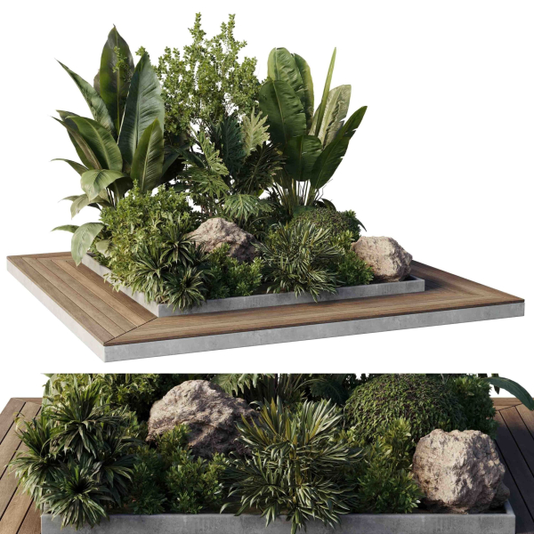 Garden Box Plants - Outdoor Plants 204