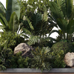 Garden Box Plants - Outdoor Plants 204