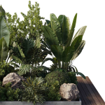 Garden Box Plants - Outdoor Plants 204
