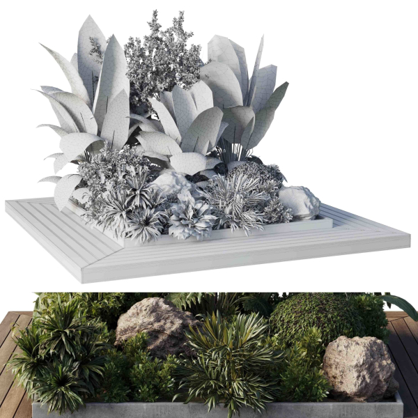 Garden Box Plants - Outdoor Plants 204