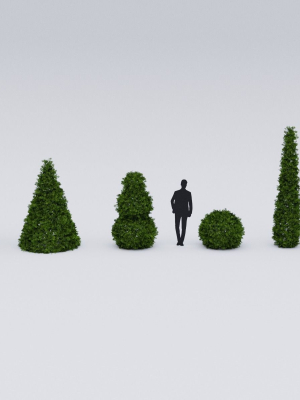 garden-boxwood-set-v4-3d-model-low-poly-obj-fbx-blend