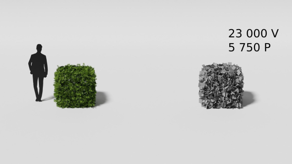 Garden boxwood set v4