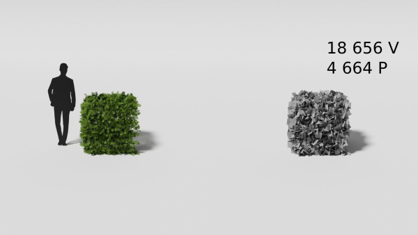 Garden boxwood set v4