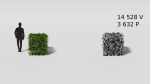 Garden boxwood set v4