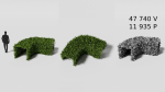 Garden boxwood set v4