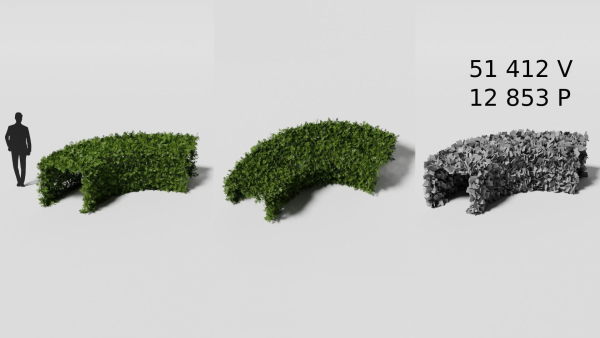 Garden boxwood set v4