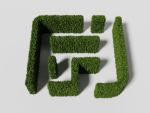 Garden boxwood set v4