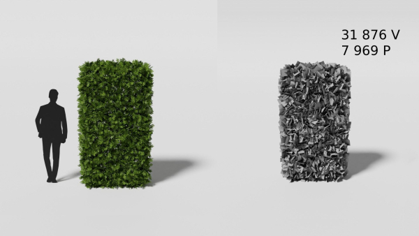 Garden boxwood set v4