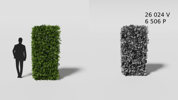 Garden boxwood set v4