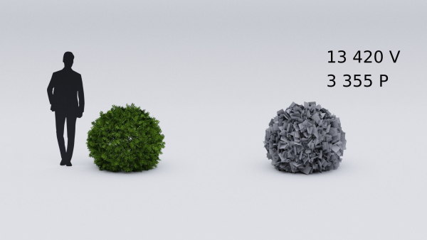 Garden boxwood set v4