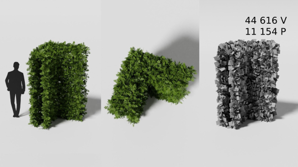 Garden boxwood set v4