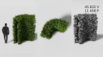 Garden boxwood set v4