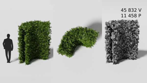 Garden boxwood set v4