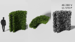 Garden boxwood set v4