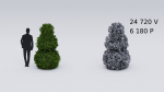 Garden boxwood set v4