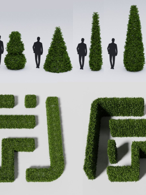 Garden boxwood set v4