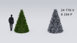 Garden boxwood set v4
