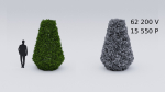 Garden boxwood set v4