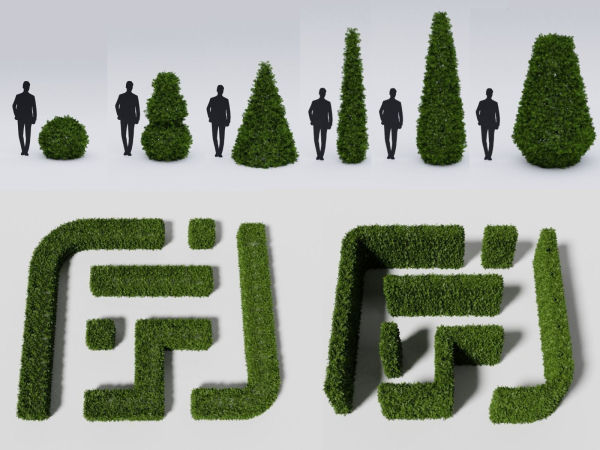Garden boxwood set v4