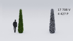 Garden boxwood set v4