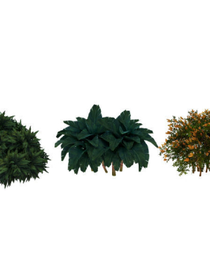 garden-bush-3d-model-low-poly-obj-3ds-fbx-blend-dae