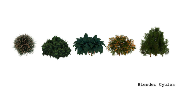 Garden Bush
