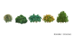 Garden Bush