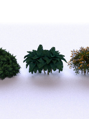Garden Bush