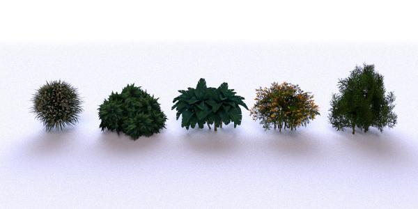 Garden Bush