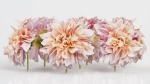 Garden Dahlia Pink