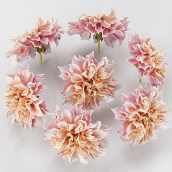 Garden Dahlia Pink