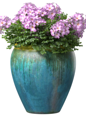 Garden Flowers Container Pot Plant