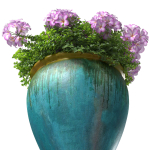 Garden Flowers Container Pot Plant