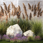 Garden Flowers Lavender Pampas Grass Miscanthus 1397