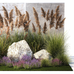 Garden Flowers Lavender Pampas Grass Miscanthus 1397
