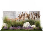 Garden Flowers Lavender Pampas Grass Miscanthus 1397