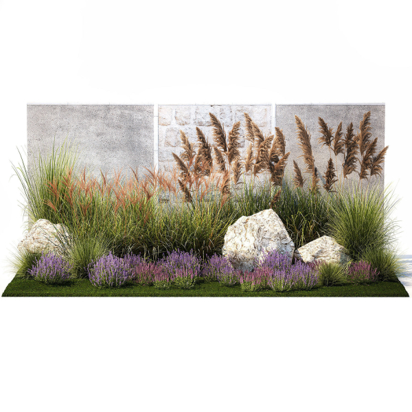 Garden Flowers Lavender Pampas Grass Miscanthus 1397