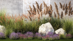 Garden Flowers Lavender Pampas Grass Miscanthus 1397