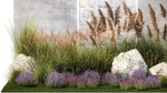 Garden Flowers Lavender Pampas Grass Miscanthus 1397