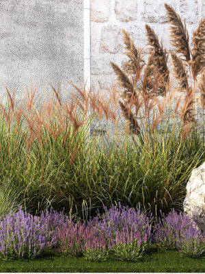 garden-flowers-lavender-pampas-grass-miscanthus-1397-3d-model-c9abaa5821