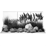 Garden Flowers Lavender Pampas Grass Miscanthus 1397