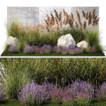 Garden Flowers Lavender Pampas Grass Miscanthus 1397