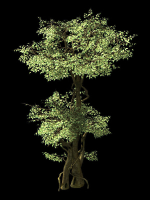 garden-garden-tree-57-3d-model-max