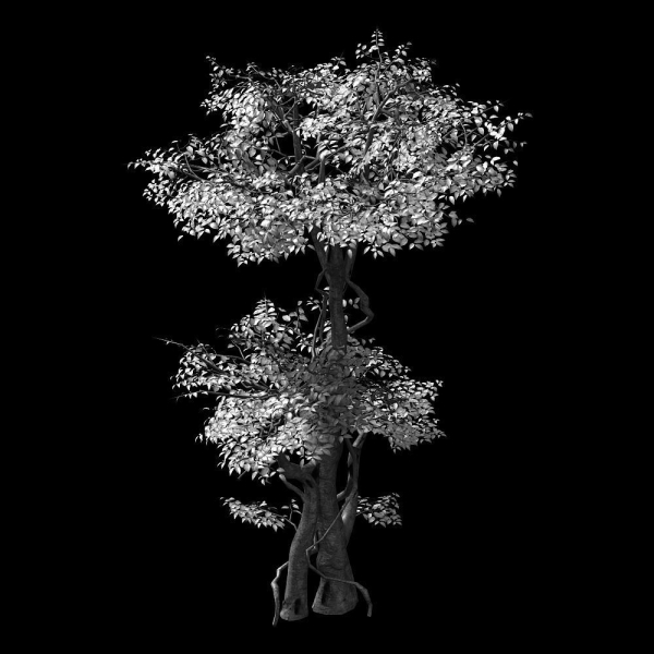 Garden-Garden-Tree 57
